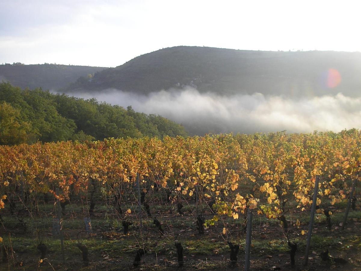 Grange Renovee En Pleine Nature Valady Exterior photo